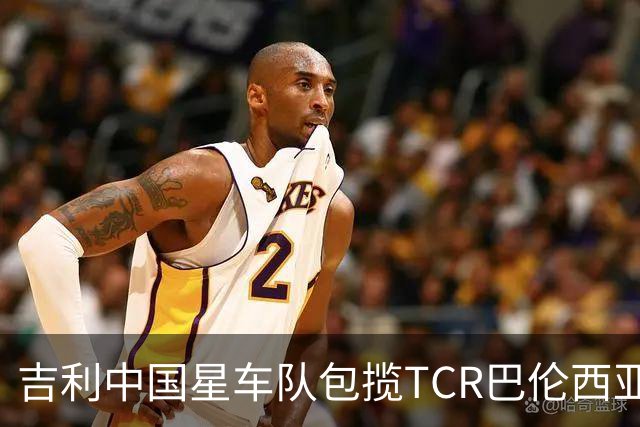 吉利中国星车队包揽TCR巴伦西亚站三回合冠军
